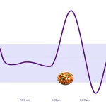 Science of Blood Sugar Variability
