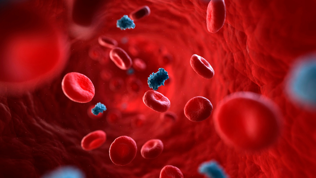Hidden Insulin Resistance in Thin Individuals