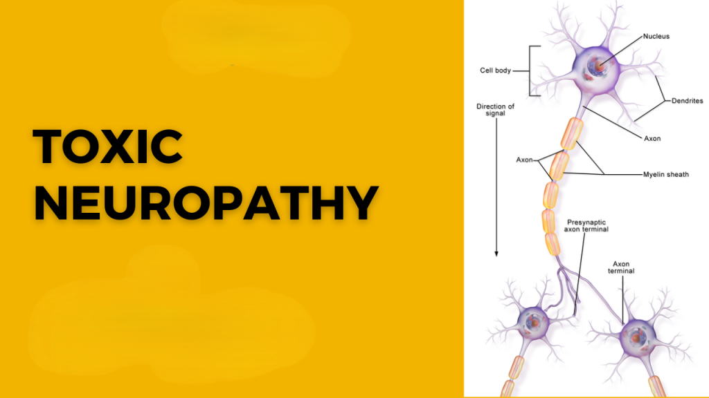 Toxic Load and Neuropathy